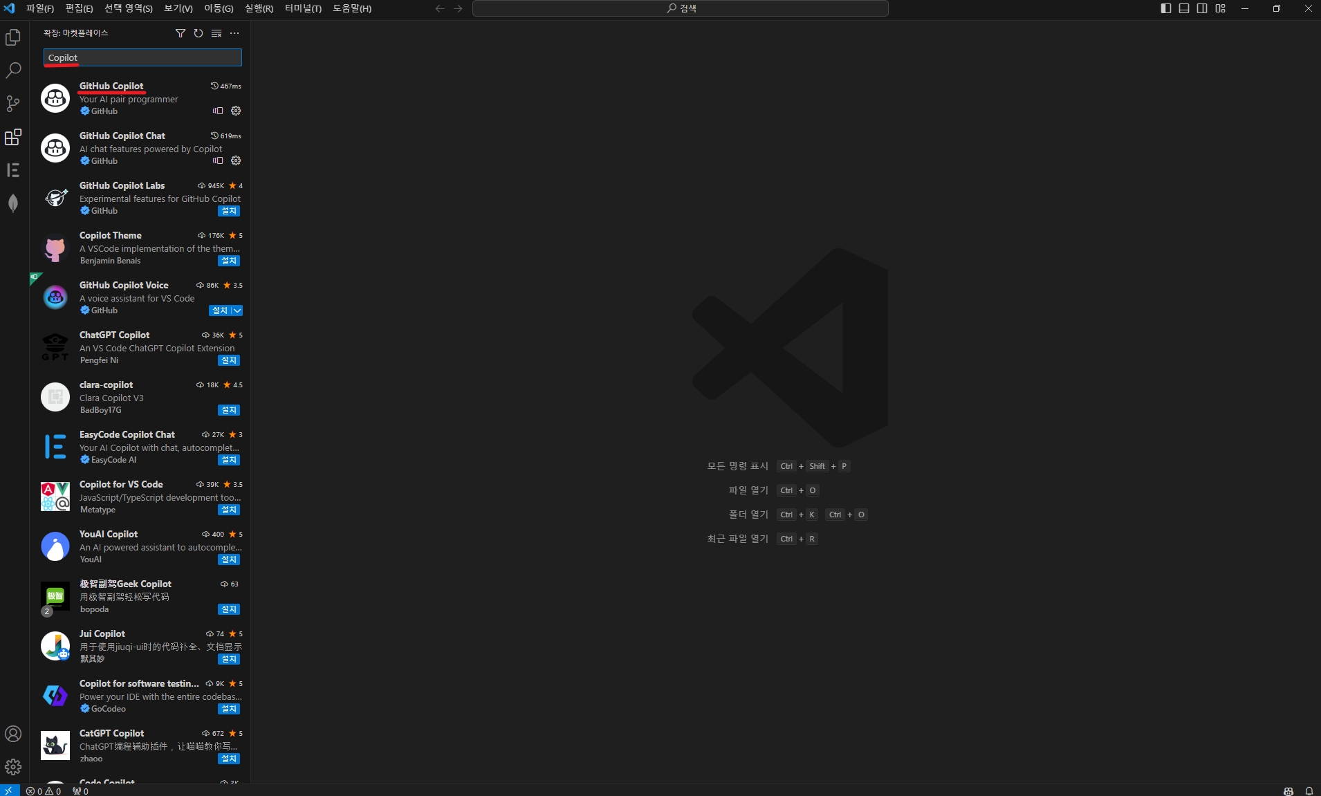 copilot-install-2
